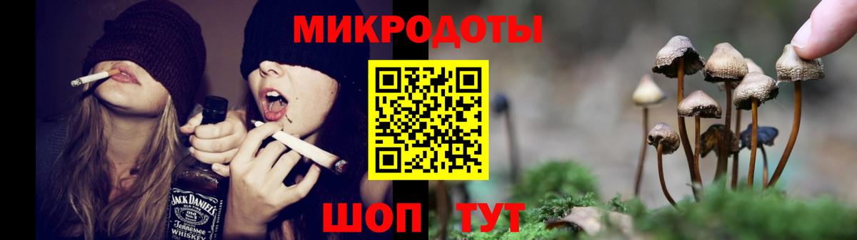 Псилоцибиновые грибы ЛСД  Псилоцибиновые грибы Psilocybe  Вход с VPN  где купить наркоту  Озёры 